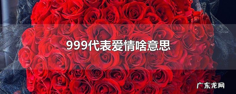 999代表爱情啥意思