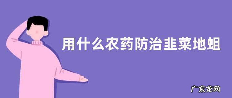 用什么农药防治韭菜地蛆,附韭菜的形态特征