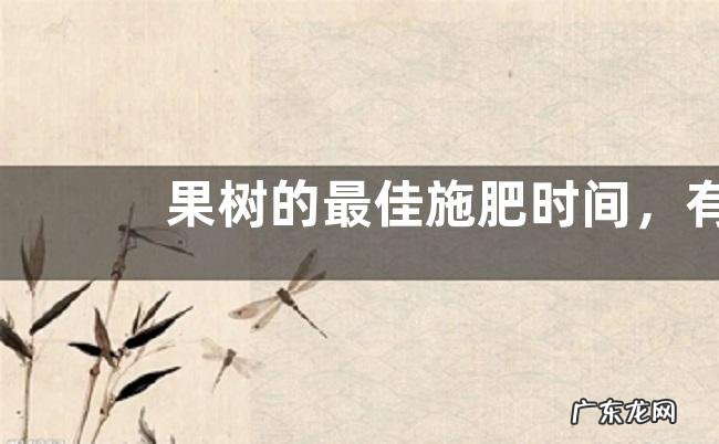 果树的最佳施肥时间,有哪些注意事项