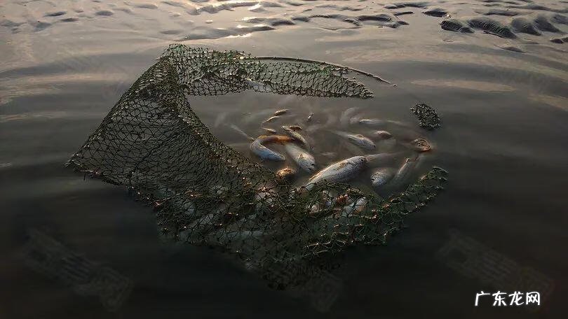 钓鱼的风水论 钓鱼水位看风水还是钓鱼