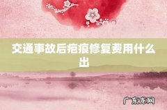 交通事故后疤痕修复费用什么出
