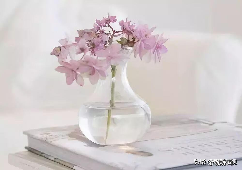 现代人都是古代富人的后代 后代最富的风水地方