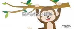 猴子为什么会爬树