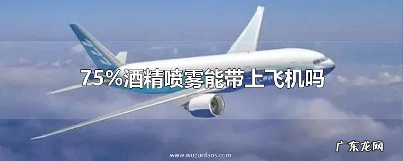 75%酒精喷雾能带上飞机吗
