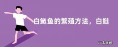 白鲢鱼的繁殖方法，白鲢鱼和花鲢鱼哪个更好吃