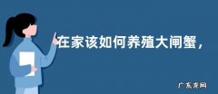在家该如何养殖大闸蟹，一般可采用这三种方法
