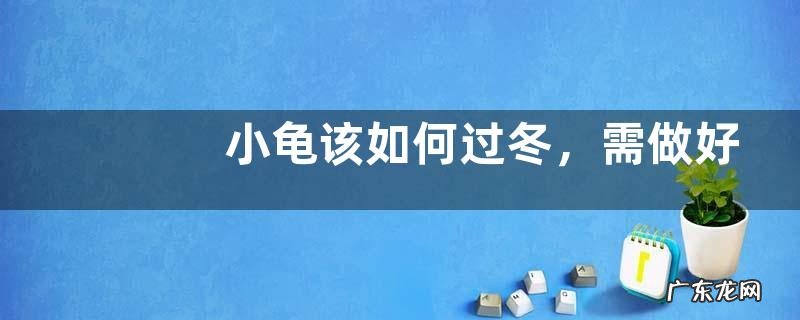 小龟该如何过冬,需做好这几点