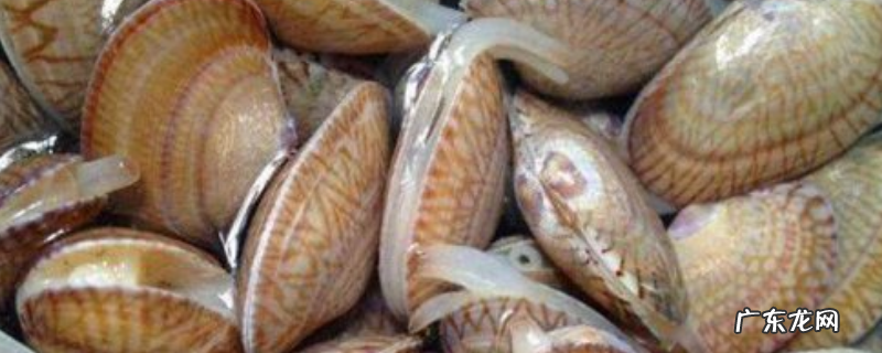 花甲如何繁殖后代,花甲养殖方法有哪些