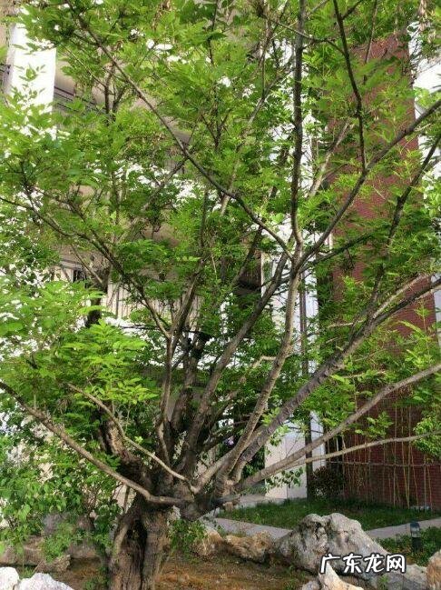 宿迁起名风水师 宿迁市区哪里有教风水的地方