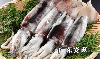新鲜墨鱼怎么做 新鲜墨鱼怎么做好吃