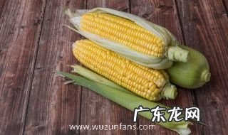 新鲜玉米怎么做窝料 新鲜玉米如何做窝料