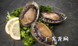 新鲜鲍鱼怎么做最好吃 新鲜鲍鱼如何做最好吃