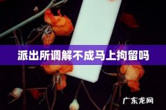 派出所调解不成马上拘留吗