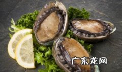 新鲜鲍鱼粥怎么做 鲍鱼粥的做法