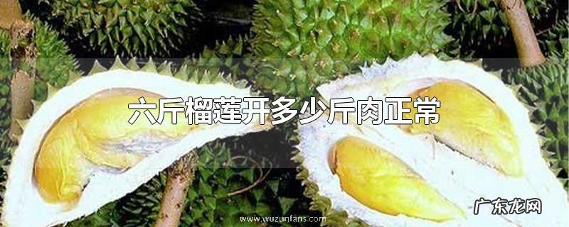 六斤榴莲开多少斤肉正常