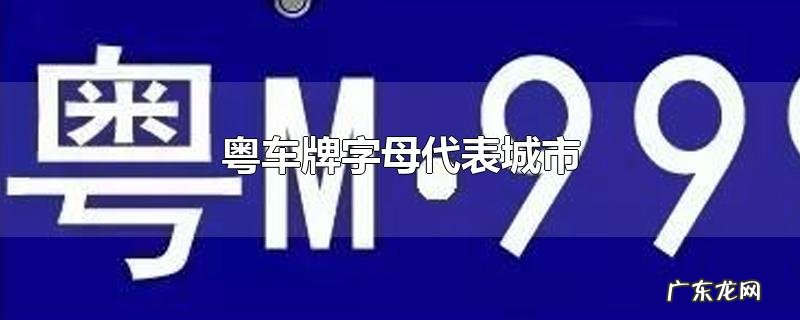 粤车牌字母代表城市