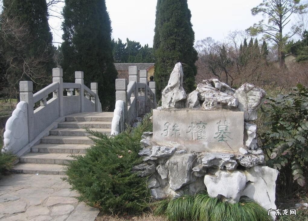 太阳神花的风水功效 太阳神的风水说法是什么