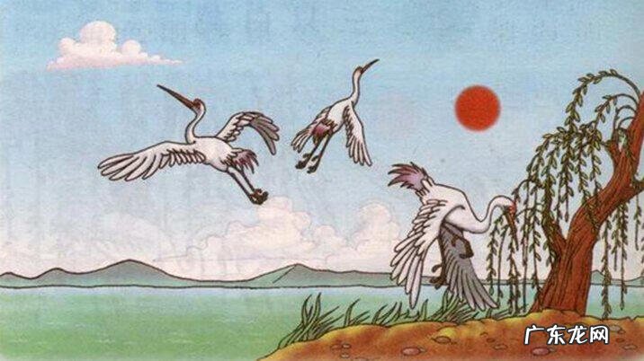 太阳神花的风水功效 太阳神的风水说法是什么