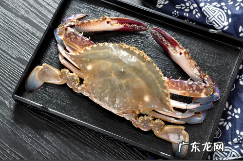 今天买的梭子蟹明天吃怎么办