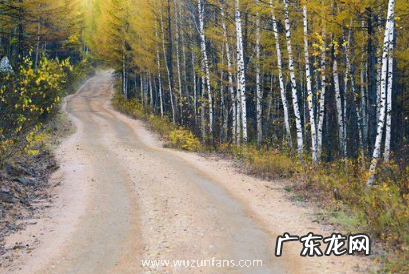 漠河九月份有极光吗