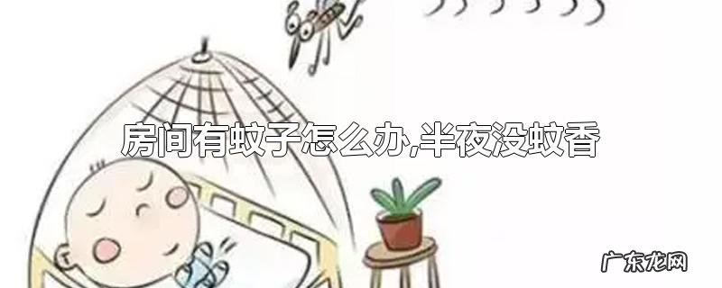房间有蚊子怎么办,半夜没蚊香