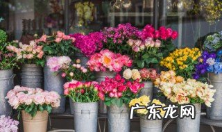 离开的人适合送什么花束 送离别的人花束介绍