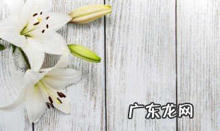 妈妈生日适合送什么花 妈妈生日可以送的花