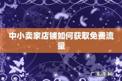 中小卖家店铺如何获取免费流量