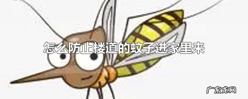 怎么防止楼道的蚊子进家里来