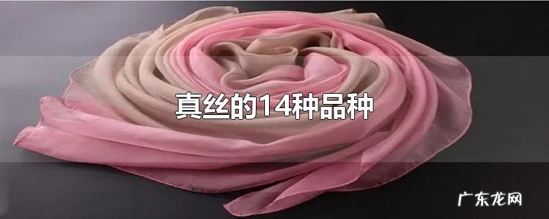 真丝的14种品种