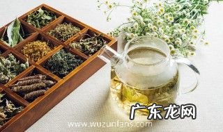 红桂花泡茶方法是什么 红桂花怎么冲泡
