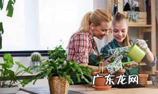 浇花用英语怎么说 浇花的英语单词