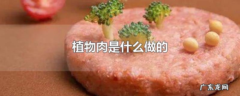 植物肉是什么做的