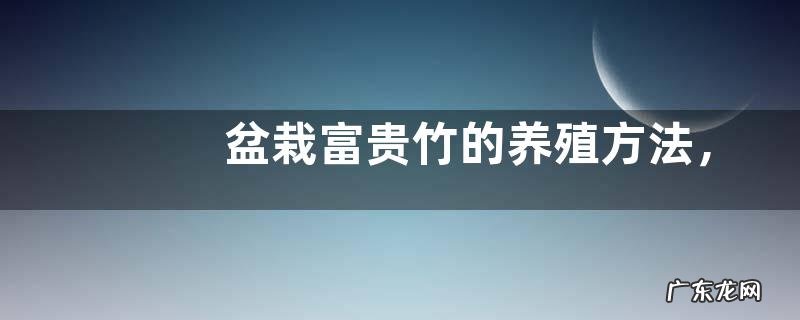 盆栽富贵竹的养殖方法,有哪些要点