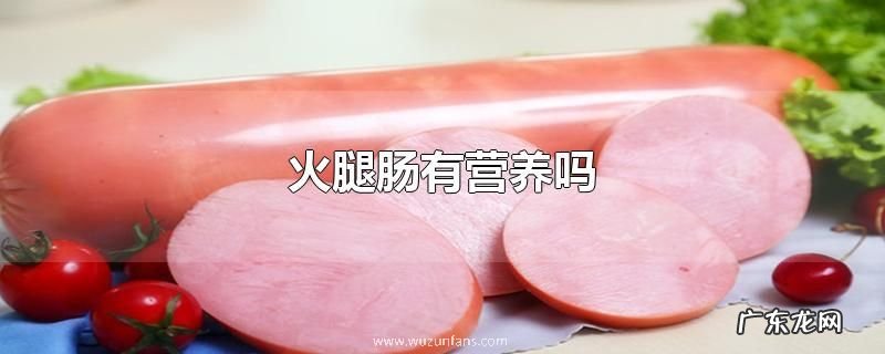 火腿肠有营养吗