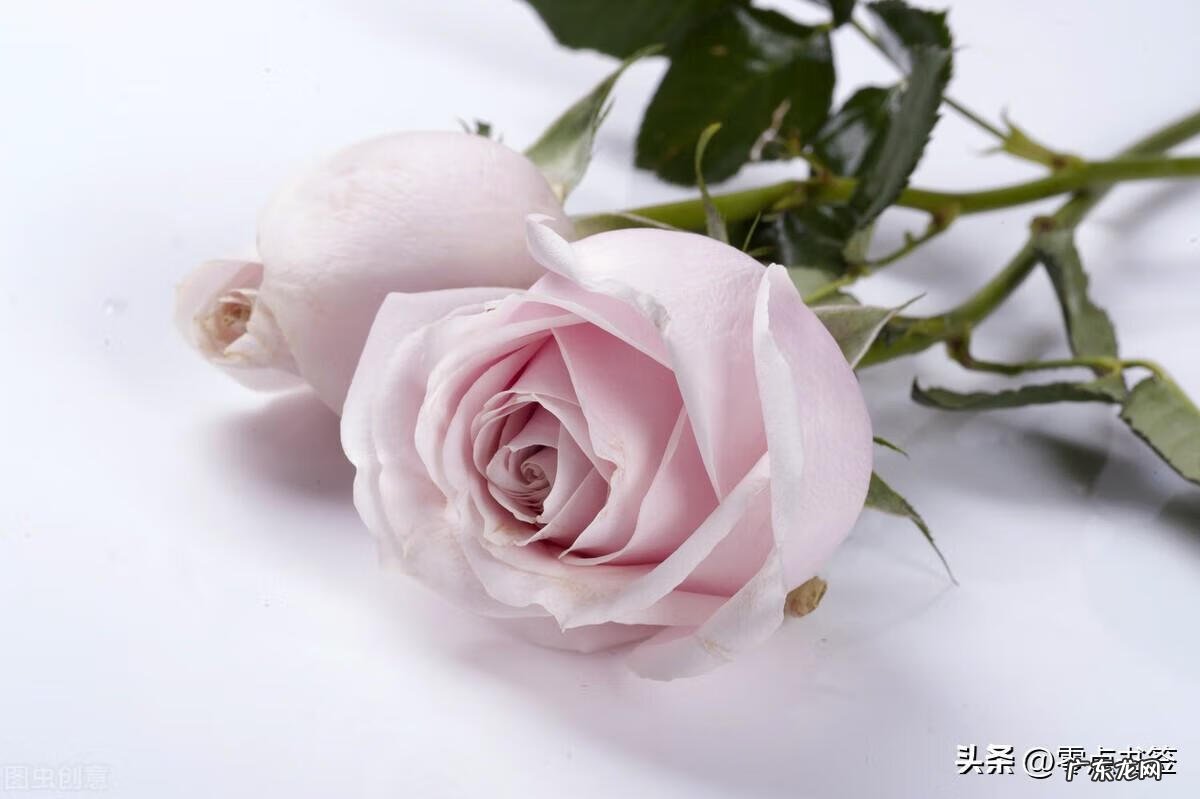 古龙风水十大特征图