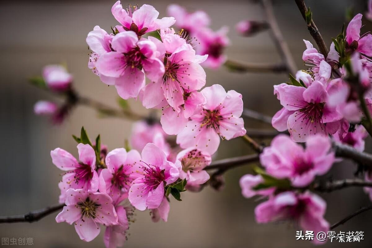 古龙风水十大特征图