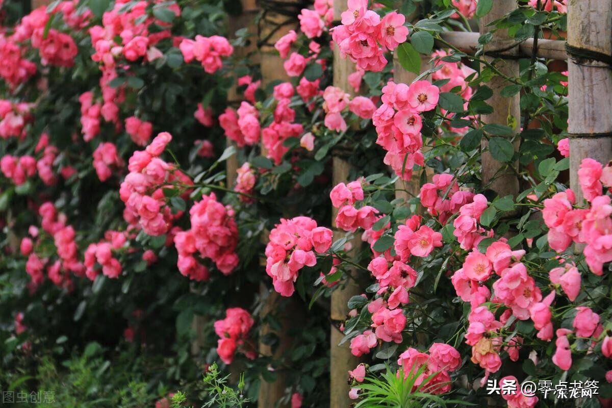 古龙风水十大特征图