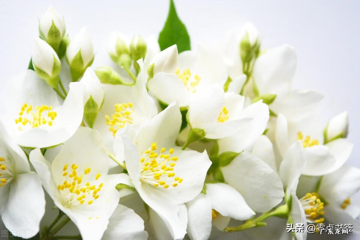 古龙风水十大特征图