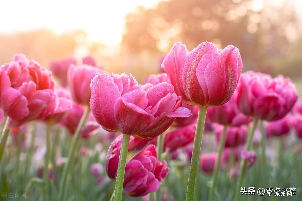 古龙风水十大特征图