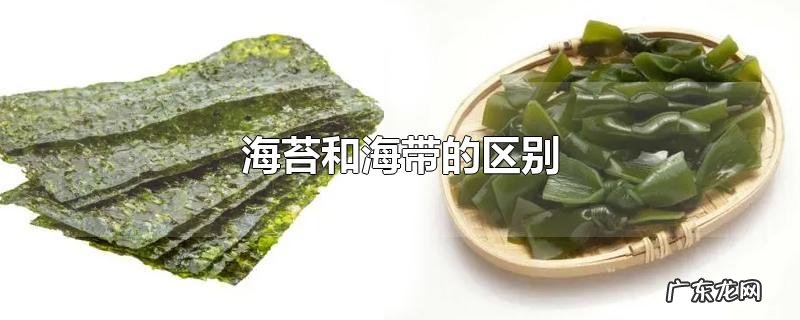海苔和海带的区别