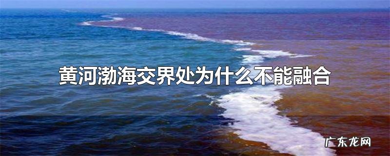 黄河渤海交界处为什么不能融合