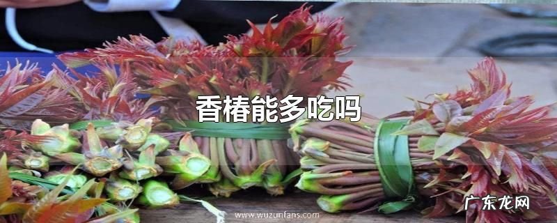 香椿能多吃吗