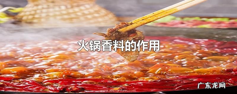 火锅底料配方都有哪些香料