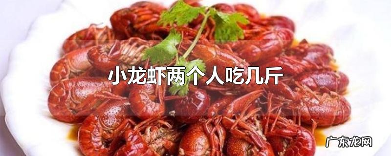 小龙虾两个人吃几斤