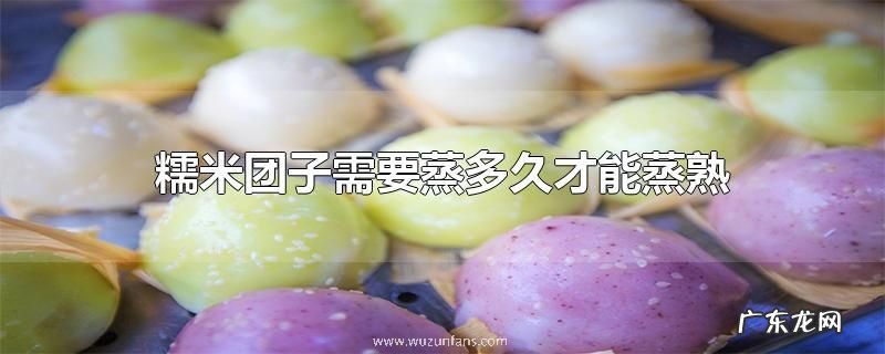 糯米团子需要蒸多久才能蒸熟