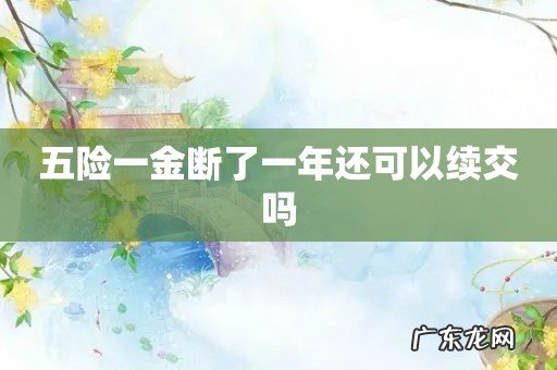 五险一金断了一年还可以续交吗