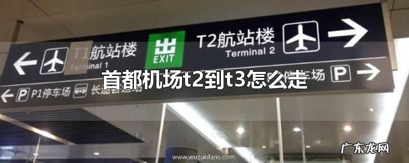 首都机场t2到t3怎么走