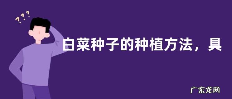 白菜种子的种植方法,具体有哪些要点