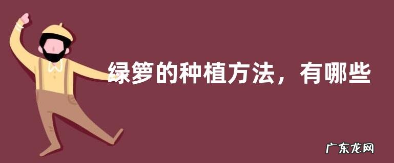 绿箩的种植方法,有哪些注意事项